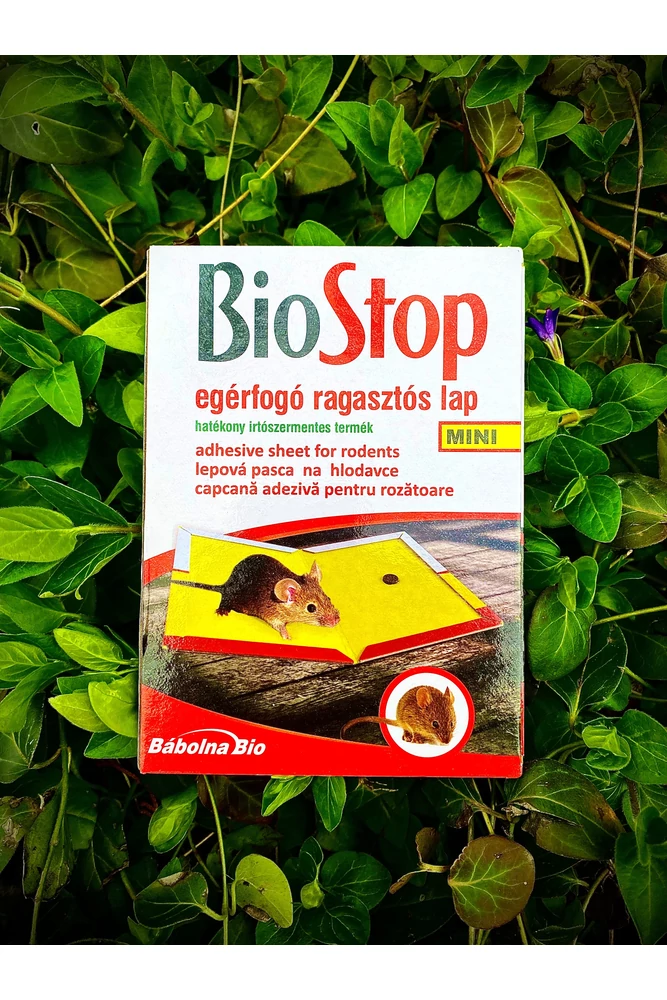 Biostop egérfogó ragasztós lap (Mini)