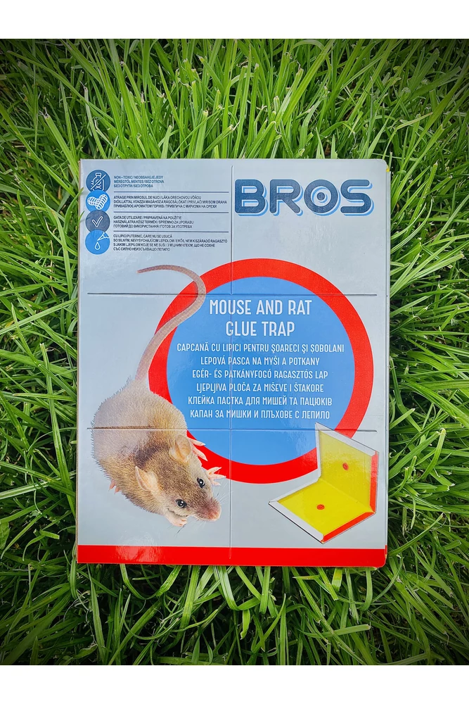 Bros egérfogó ragasztós lap mogyoró aromával