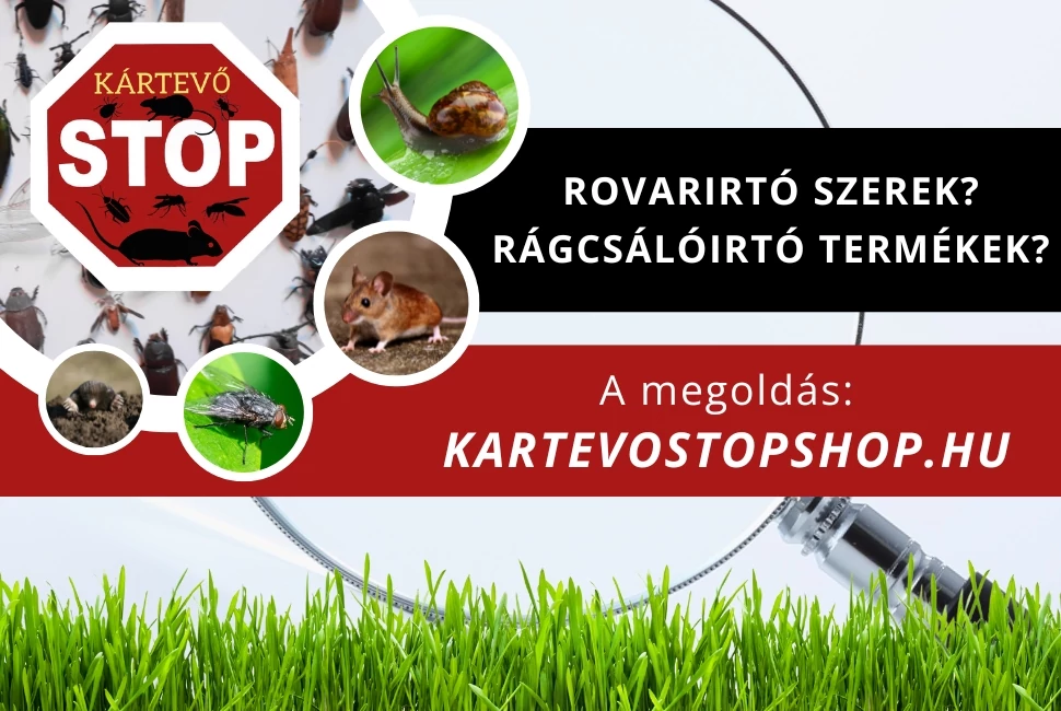 Rágcsálóirtók