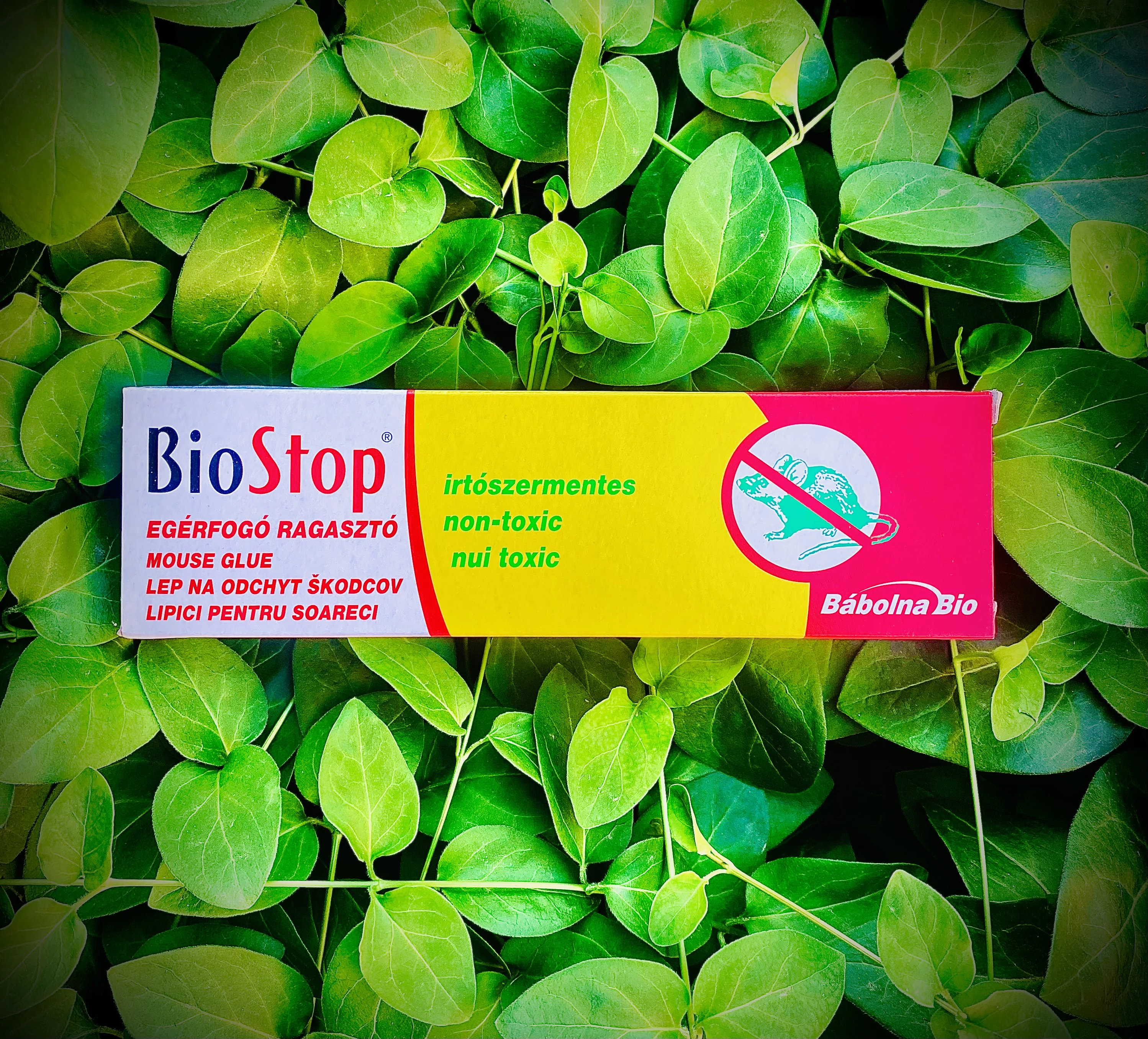 Biostop Egérfogó ragasztó 135g