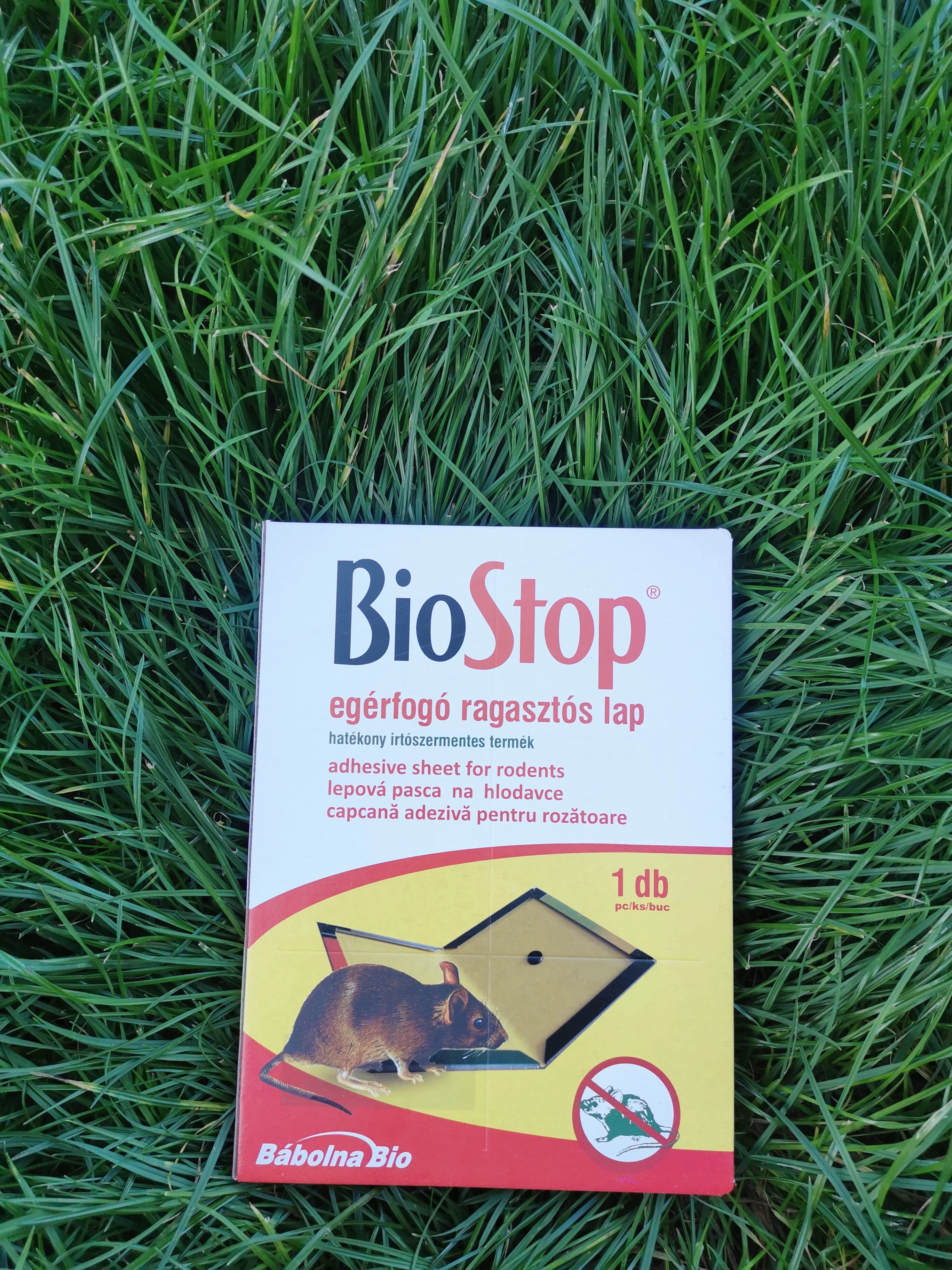 Biostop egérfogó ragasztós lap (Nagy)